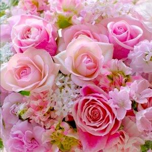 Meet your Posher, Sheena